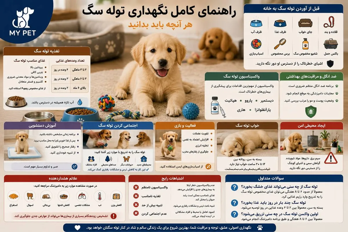 توله‌سگی شاد و کنجکاو در محیطی امن و دوست‌دار حیوانات، در کنار وسایل ضروری نگهداری؛ تصویری آموزشی که اهمیت تغذیه مناسب، واکسیناسیون، آموزش، بازی و مراقبت‌های اولیه برای رشد سالم توله سگ را نشان می‌دهد. لوگوی MY PET در گوشه تصویر قرار گرفته است.